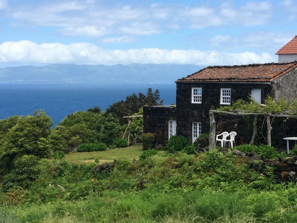 Casa Da Lava Pensionat São Roque do Pico Eksteriør billede