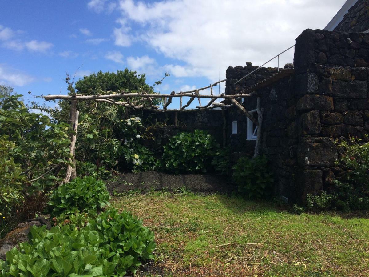 Casa Da Lava Pensionat São Roque do Pico Eksteriør billede