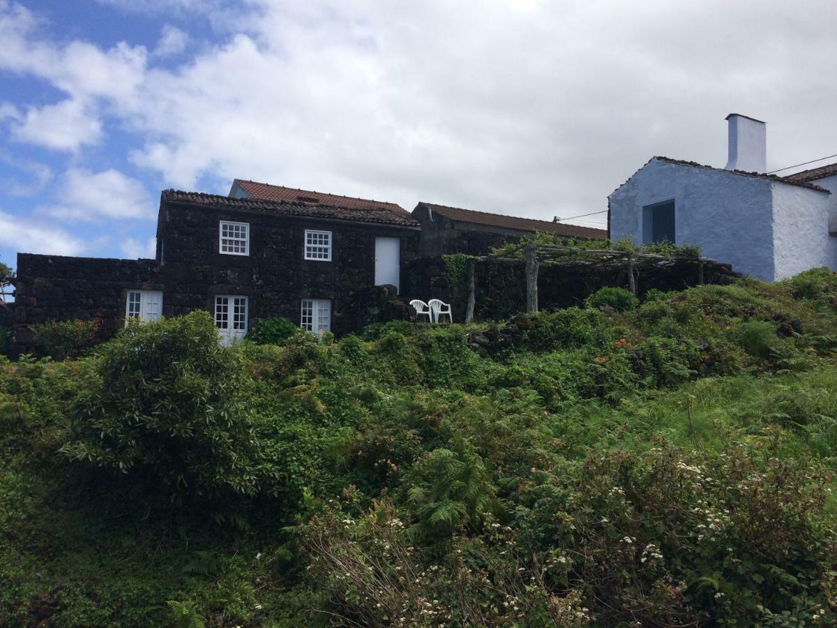 Casa Da Lava Pensionat São Roque do Pico Eksteriør billede