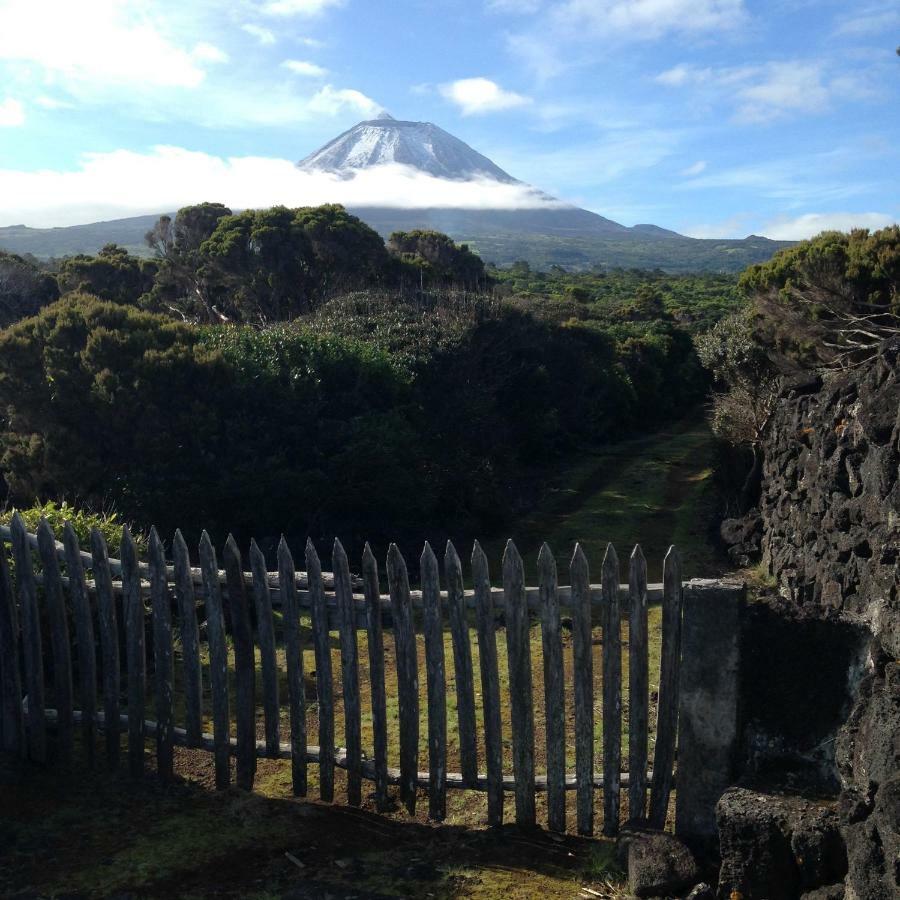 Casa Da Lava Pensionat São Roque do Pico Eksteriør billede